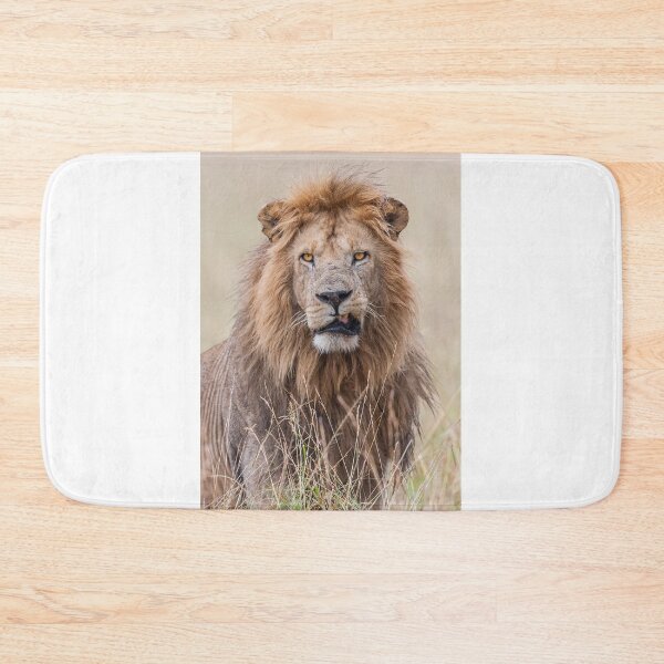Item preview, Young strong lion designed and sold by Ingo Gerlach.