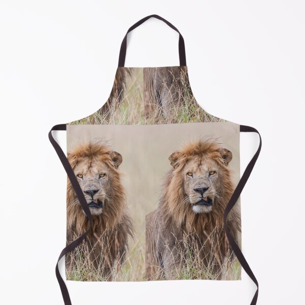 Item preview, Young strong lion designed and sold by Ingo Gerlach.