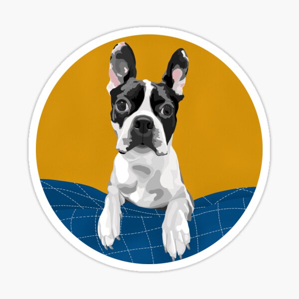 Eddie the Boston Terrier Sticker