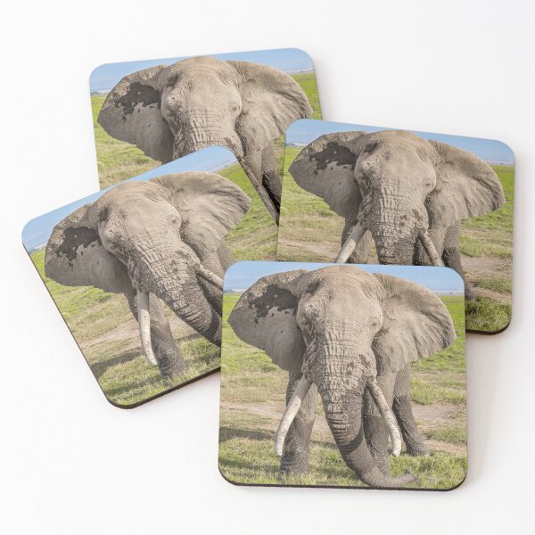 Item preview, Bull Elephant designed and sold by Planet Earth By Colin Davis.