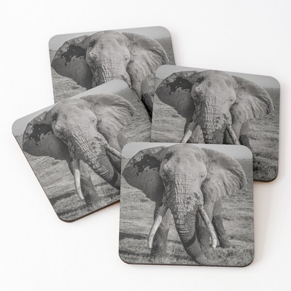 Item preview, Majestic Bull Elephant - Black & White designed and sold by Planet Earth By Colin Davis.