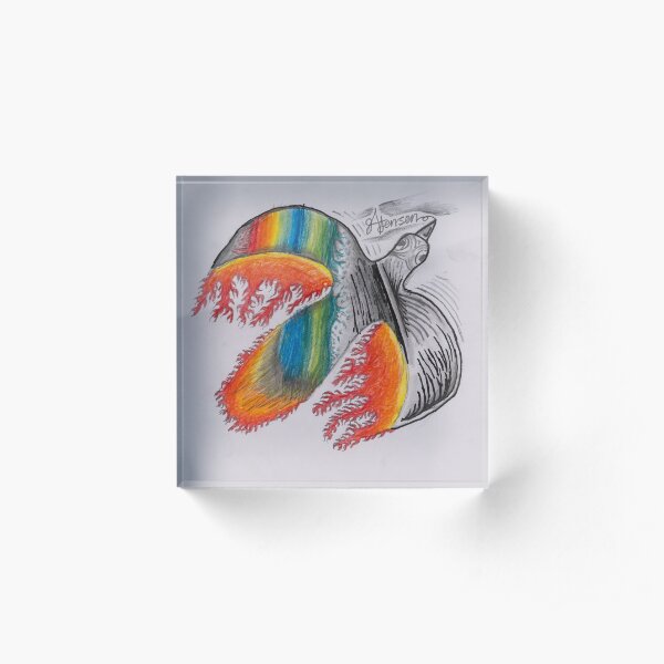 Flite Acrylic Block