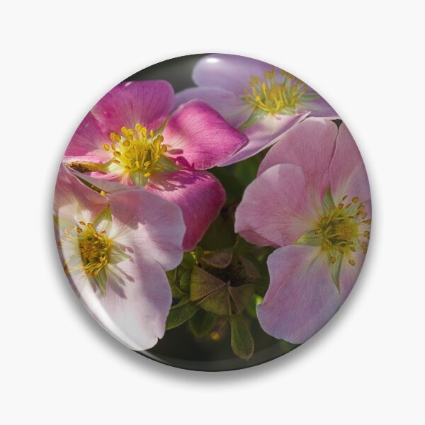Flower power 14.09.2020 Pin