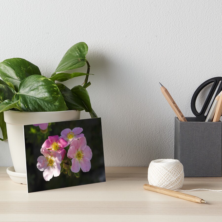 Item preview, Art Board Print designed and sold by cokemann.