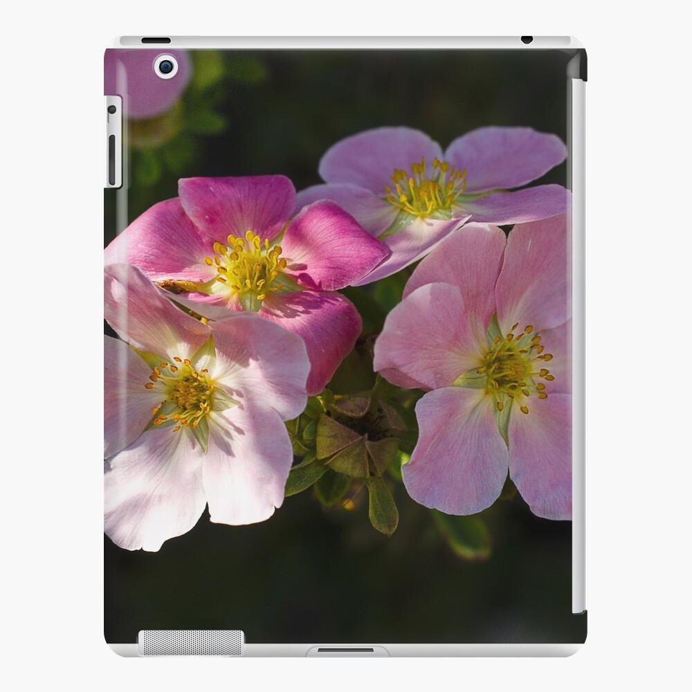Item preview, iPad Snap Case designed and sold by cokemann.