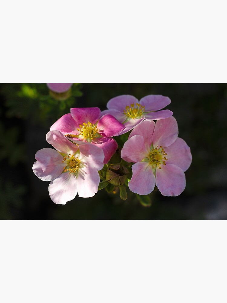 Thumbnail 6 of 6, Coffee Mug, Mystical Petals: Unraveling the Essence of Floral Beauty designed and sold by cokemann.