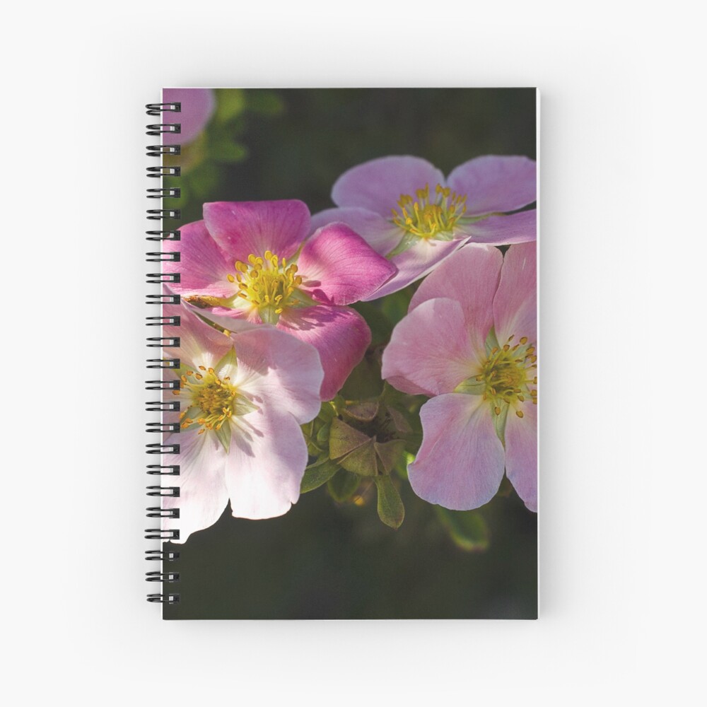 Item preview, Spiral Notebook designed and sold by cokemann.