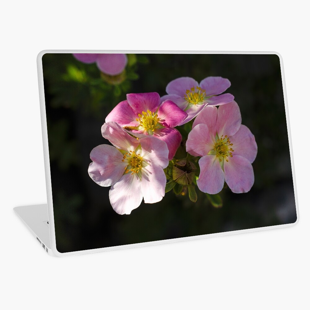 Item preview, Laptop Skin designed and sold by cokemann.
