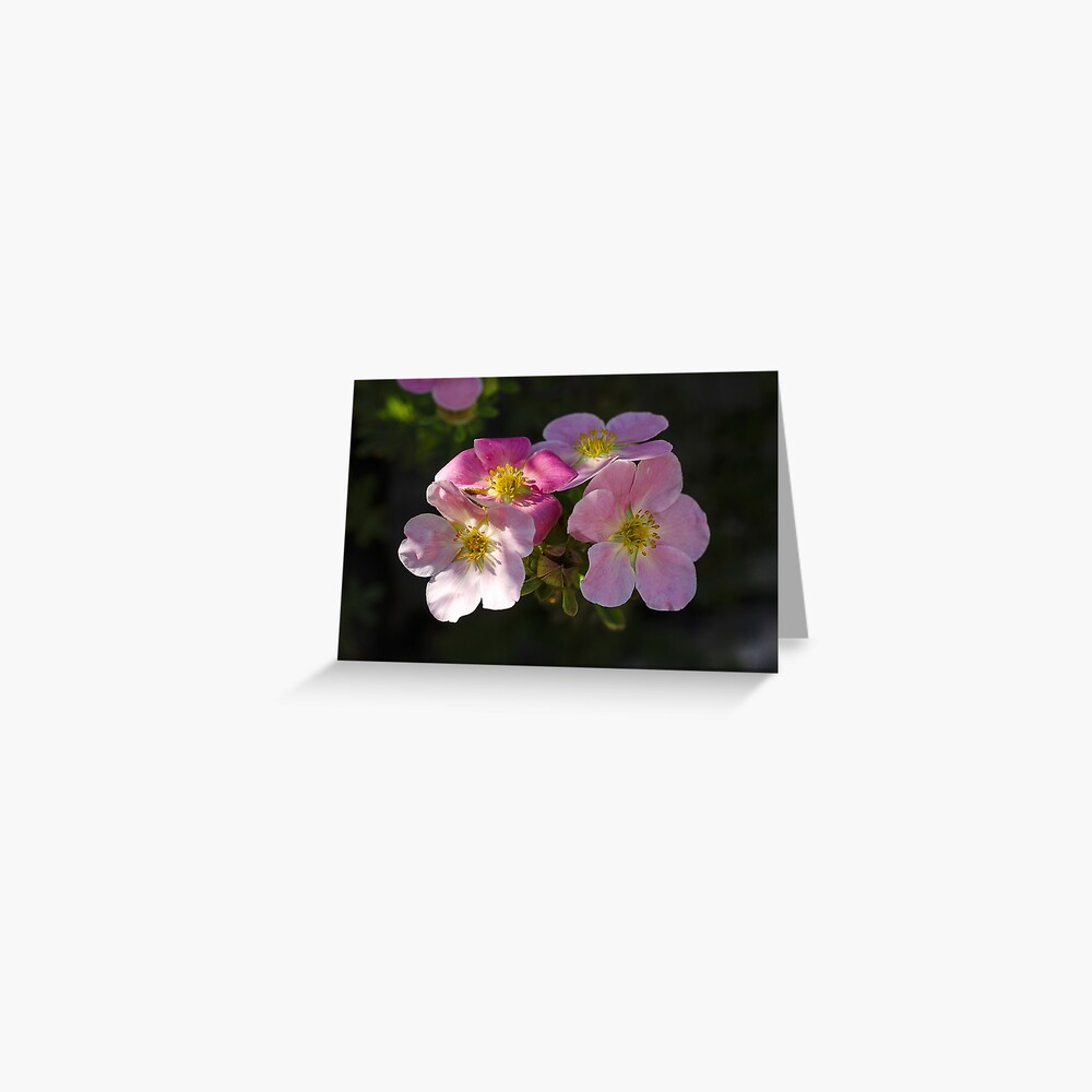 Item preview, Greeting Card designed and sold by cokemann.