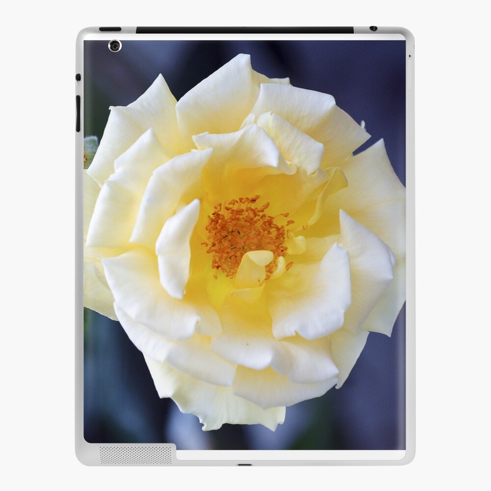 Item preview, iPad Skin designed and sold by cokemann.