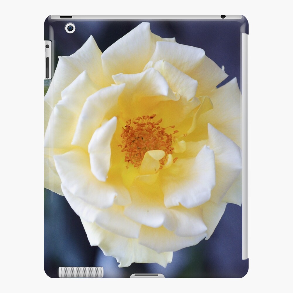 Item preview, iPad Snap Case designed and sold by cokemann.
