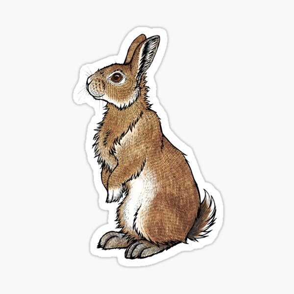 Item preview, Bran the Bunny designed and sold by lyndseygreen.