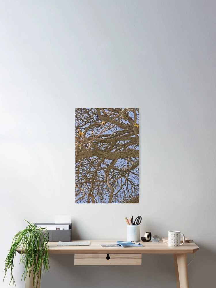 Imagen 2 de 3, Póster con la obra Gnarled Tree Abstract, diseñada y vendida por Inimma.