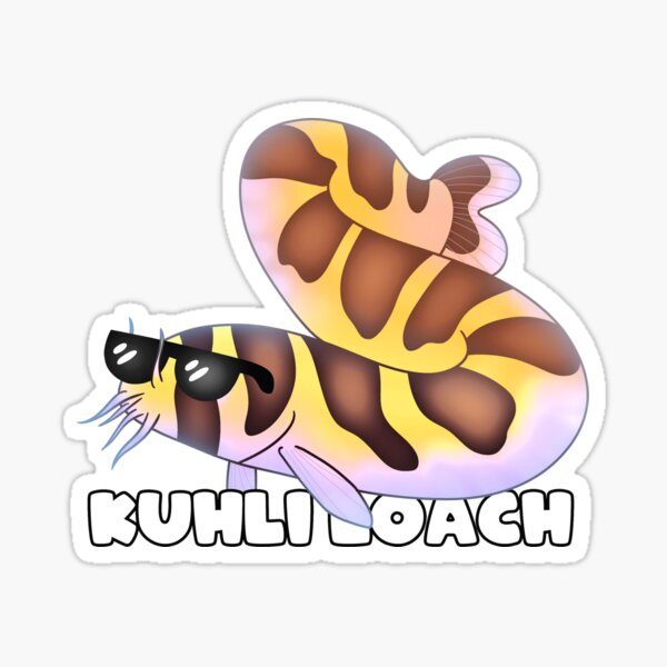 Cool Kuhli Loach Sticker