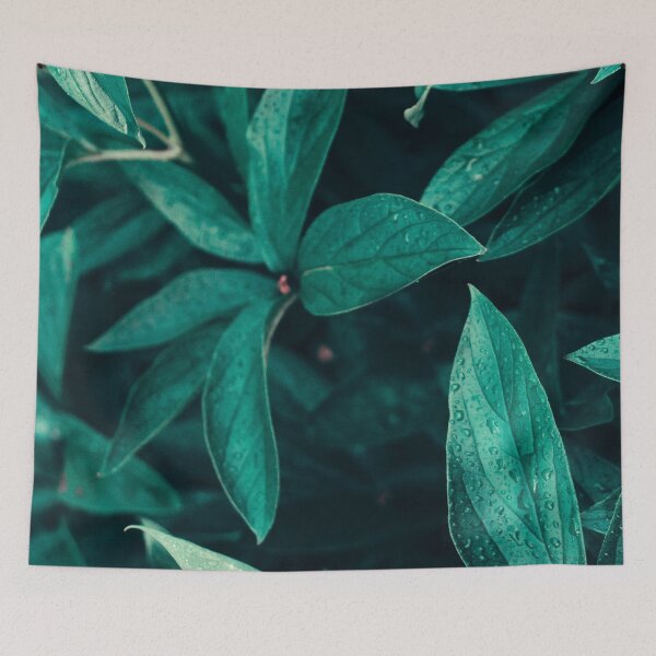 Item preview, Leaf with water designed and sold by Hoopstore.