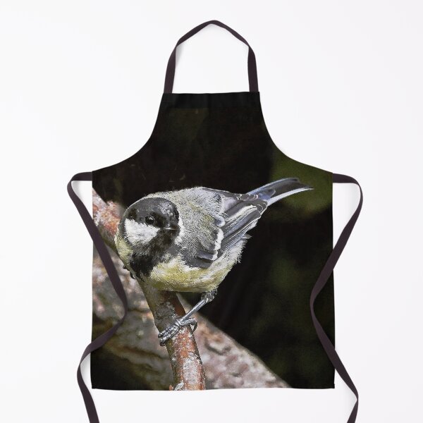 Item preview, r1449/ new finition 2021 Mésange charbonniére  -  7 t (c)(h) by Olao-Olavia / Okaio Créations designed and sold by o.okaïo.