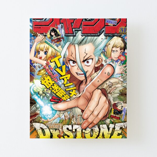 Dr Stone Series Gifts Merchandise Redbubble