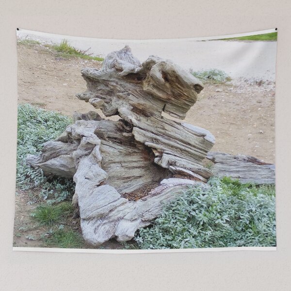 Aperçu de l'œuvre Arbres ~ Racine 2 Sussex créée et vendue par QualitySolution.