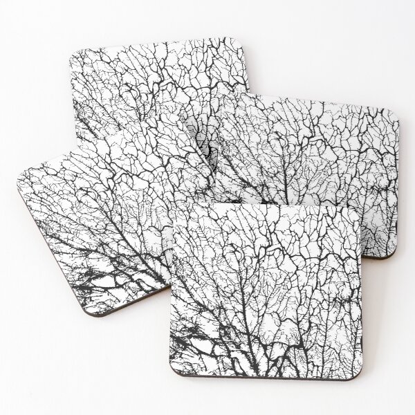 Item preview, Black and white plant artwork designed and sold by hyggekrog.