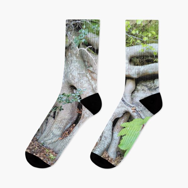 Item preview, Trees ~ Roots new beginnings  designed and sold by QualitySolution.