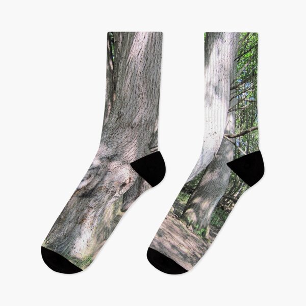 Item preview, Trees ~ Time to grow. designed and sold by QualitySolution.