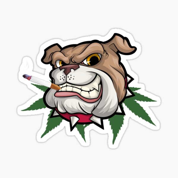 Dog smokes cigar , dog smokes cigarette , dog smokes marijuana Dog smokes cigar , dog smokes cigarette , dog smokes marijuana