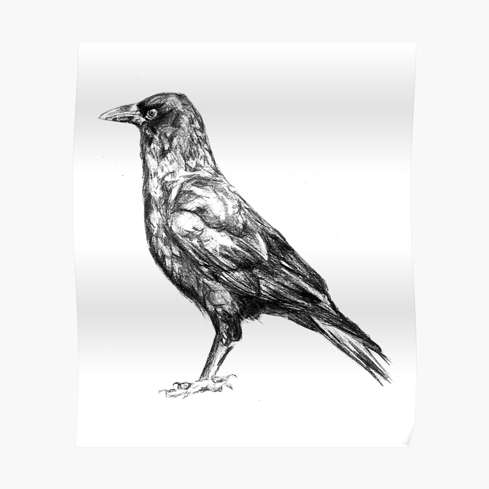 Premium Vector  Handdrawn black crow raven bird sketch vector illustration