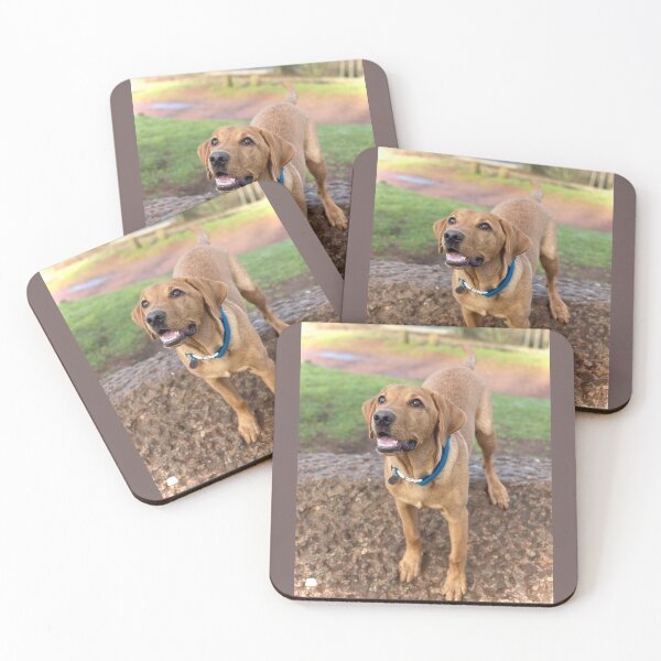Item preview, Dexter the Fox Red Labrador - Happy Walks designed and sold by DexterFRL.