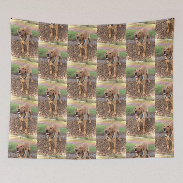 Item preview, Dexter the Fox Red Labrador - Happy Walks designed and sold by DexterFRL.
