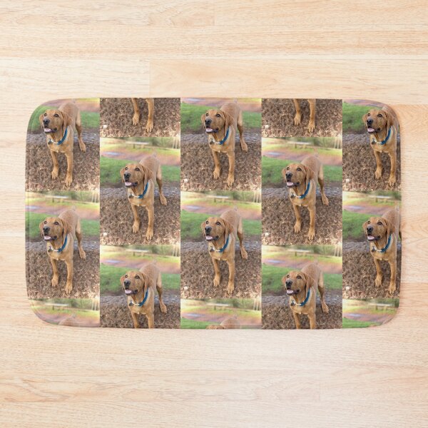 Item preview, Dexter the Fox Red Labrador - Happy Walks designed and sold by DexterFRL.