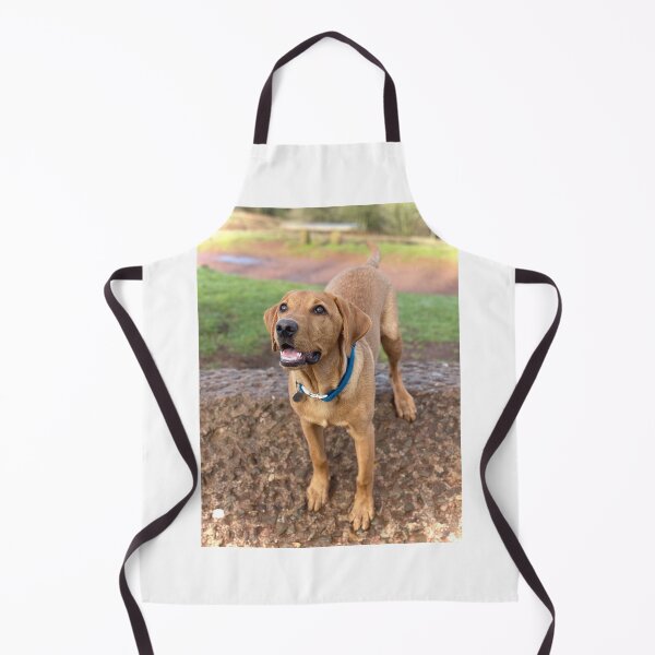 Item preview, Dexter the Fox Red Labrador - Happy Walks designed and sold by DexterFRL.