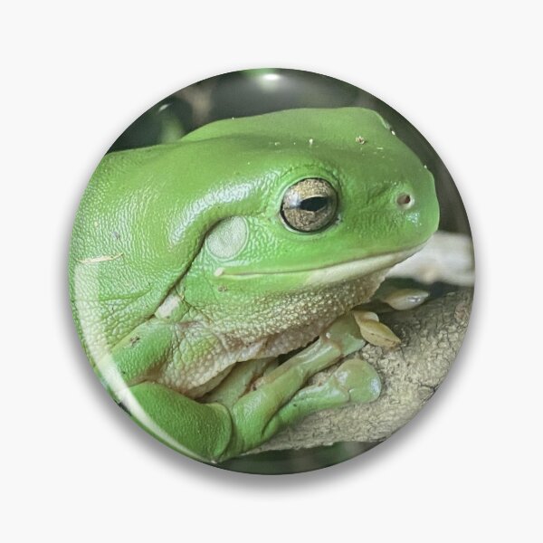 Item preview, CUTE GREEN  TREE FROG  designed and sold by Opalbluerose.