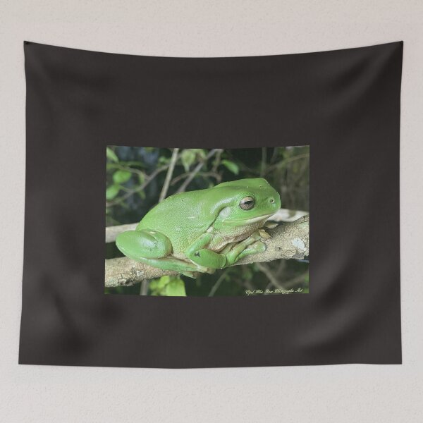 Item preview, CUTE GREEN  TREE FROG  designed and sold by Opalbluerose.