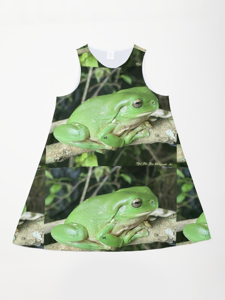 CUTE GREEN TREE FROG " A-Line Dress for Sale by Opalbluerose | Redbubble