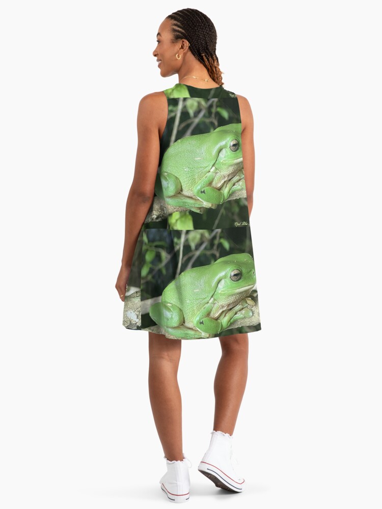 CUTE GREEN TREE FROG " A-Line Dress for Sale by Opalbluerose | Redbubble