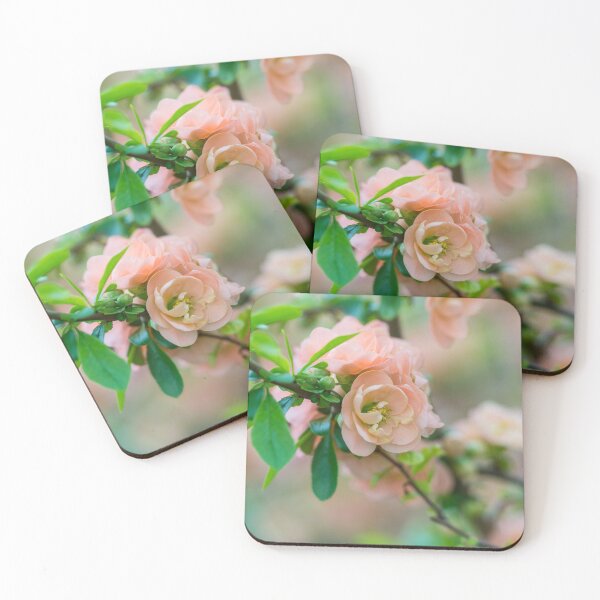 Item preview, Peach Flowering Quince designed and sold by mljdwhite.