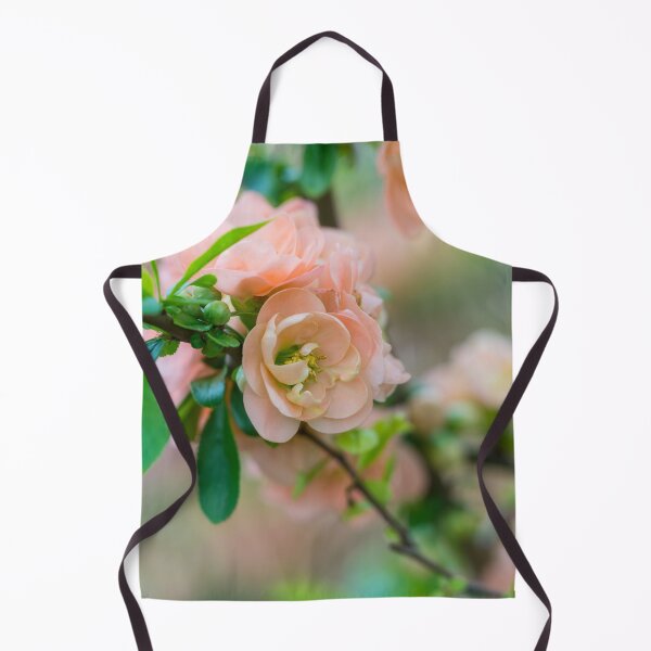 Item preview, Peach Flowering Quince designed and sold by mljdwhite.