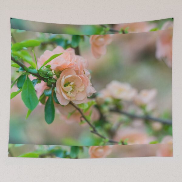 Item preview, Peach Flowering Quince designed and sold by mljdwhite.