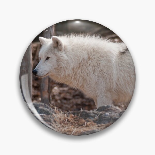 Item preview, Arctic Wolf designed and sold by Michael Cummings.