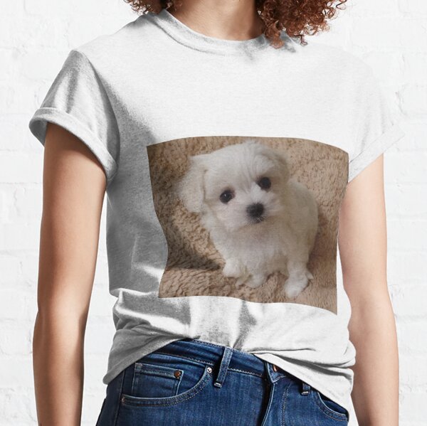 White Pure bred Maltese Classic T-Shirt