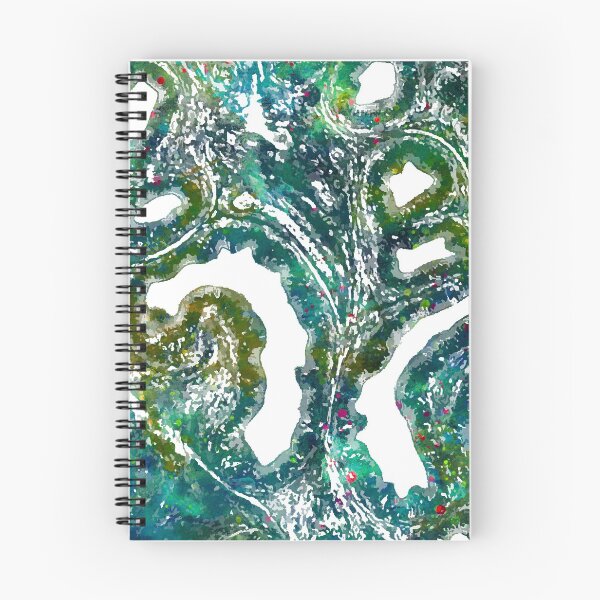 Item preview, Connective Tissues Histology designed and sold by EvasDreams.