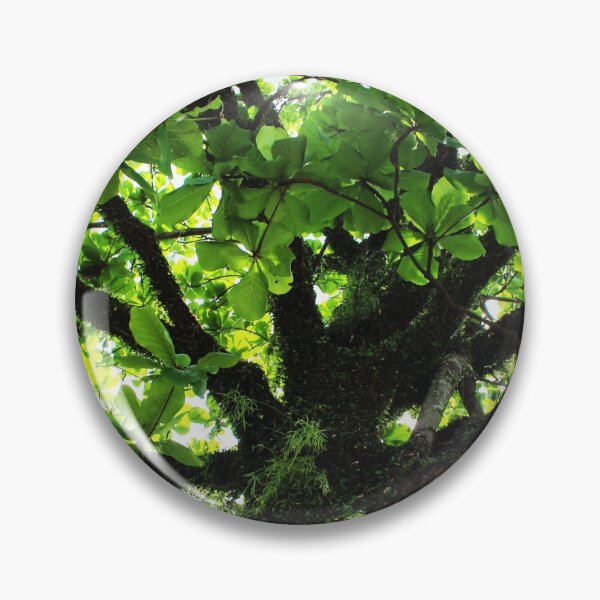 Item preview, Tree 2.0 designed and sold by Sérgio Rodrigues Garcez Filho.