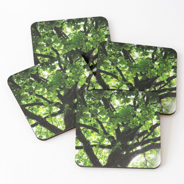 Item preview, Tree 2.0 designed and sold by Sérgio Rodrigues Garcez Filho.