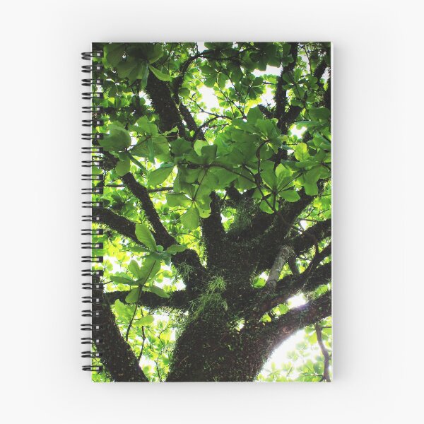 Item preview, Tree 2.0 designed and sold by Sérgio Rodrigues Garcez Filho.