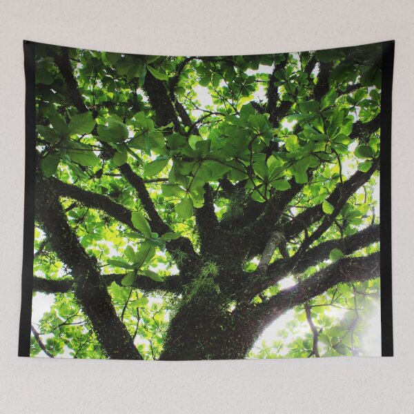 Item preview, Tree 2.0 designed and sold by Sérgio Rodrigues Garcez Filho.