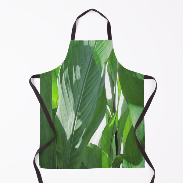 Item preview, Canna plant designed and sold by HerbertBroses.