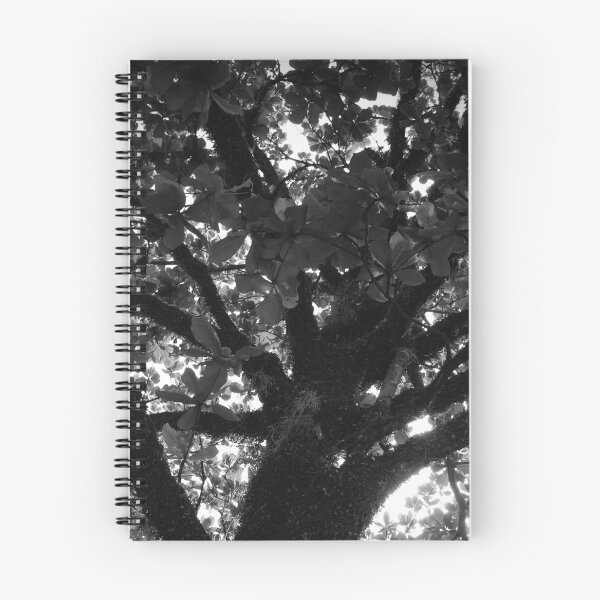 Item preview, Tree 2.0 designed and sold by Sérgio Rodrigues Garcez Filho.