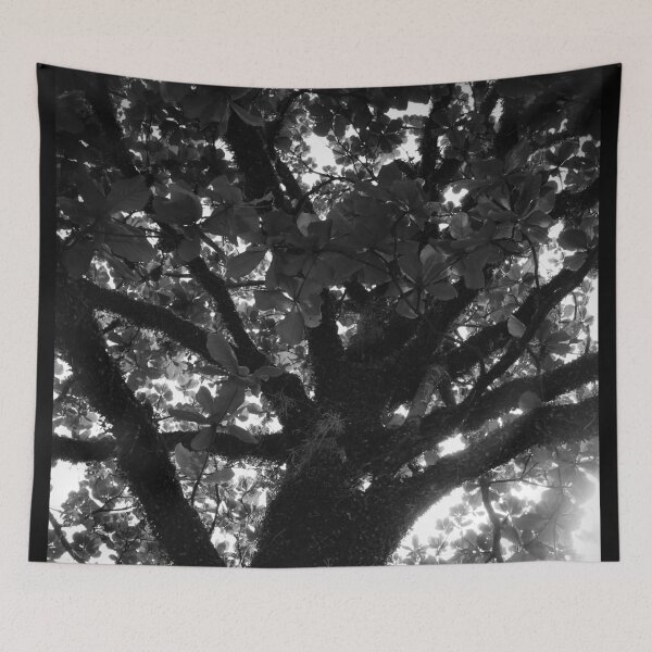 Item preview, Tree 2.0 designed and sold by Sérgio Rodrigues Garcez Filho.
