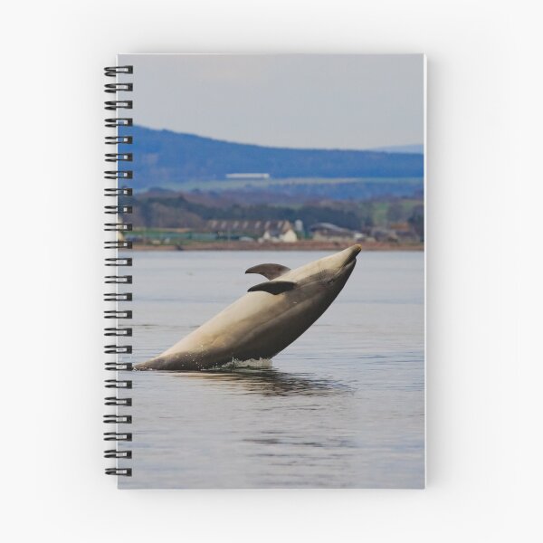 Item preview, Dolphin having fun designed and sold by chanonry.