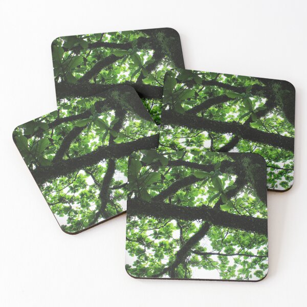 Item preview, Tree 2.0 designed and sold by Sérgio Rodrigues Garcez Filho.